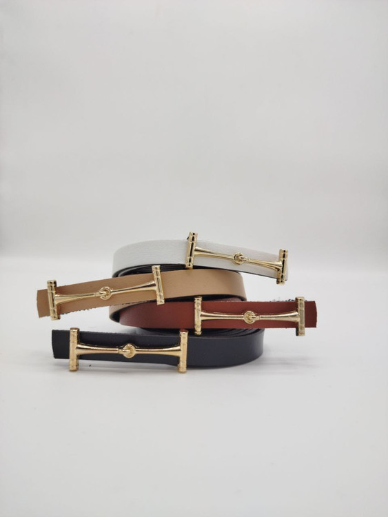 نمای کلی کمربند باریک 1.5سانت سگک طلایی زنانه در رنگبندی متنوع